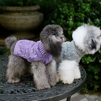 Chandail d'hiver personnalisable OEM de style classique pour chien et chat, tricot à la mode pour petits et grands chiens, tissu de printemps mignon inspiré
