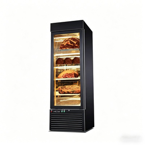 Congélateur à viande à porte simple |   Réfrigérateur intelligent pour la fermentation de la viande, armoire de refroidissement ventilée pour le vieillissement à sec des steaks - Product Image 5