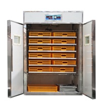 Chicken Egg Incubator and Hatcher, Egg Hatching Machine