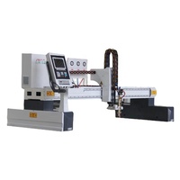 JINAN Work Wide Machine de découpe à la flamme CNC à portique robuste de 3000 mm à bon prix