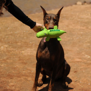 Buona serie amici alla moda elegante Design GRS in fibra di poliestere riciclata e EVA <span class=keywords><strong>Pet</strong></span> giocattoli da masticare conigli per animali domestici da masticare - Product Image 4