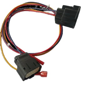 Индивидуальный автомобильный жгут проводов с 12-контактным разъемом, кабель для подключения автомобиля, OEM-замена жгута проводки - Product Image 6