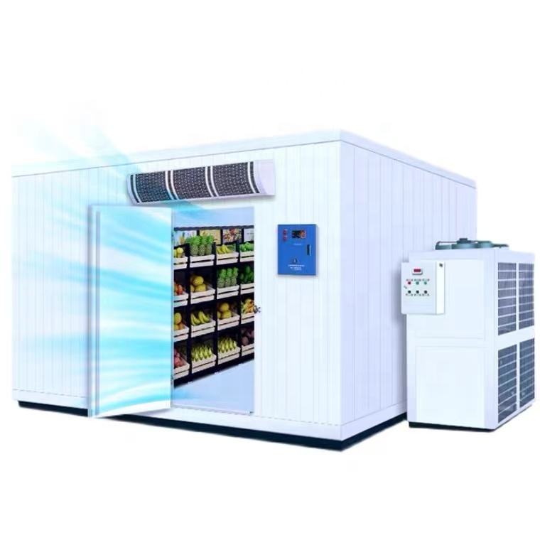 Walk In Freezer Cooler Equipment Rvt Bitzer Walk-in Freezer & Cooler For Cold Storage Refrigeration System - Oem