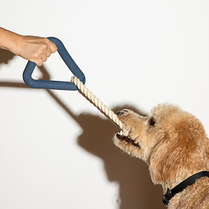 Jouet pour chien en caoutchouc à mâcher, sonore, <span class=keywords><strong>vibrant</strong></span>, pour la chasse en intérieur, balle roulante électrique, luxe, classique, durable - Product Image 1