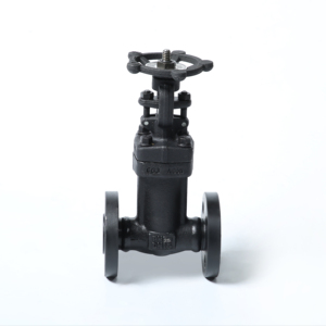 Vanne de blocage à double bride en acier moulé forgé ANSI Classe 150 DN50 pour l'air et l'eau PN10 PN16 - Product Image 2