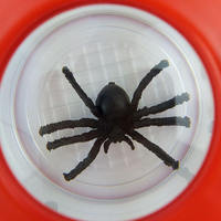 Tanque de Insectos de Plástico de Tres Secciones para Niños de 2 a 4 Años y de 5 a 7 Años, Juguete Educativo Unisex