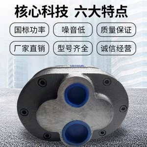 ปั๊มเกียร์ Wuxi Kelly รุ่น CB-B6 140Qm3p ปั๊มน้ำมันไฮดรอลิกแบบมอเตอร์ขับเคลื่อน ปริมาณการไหลคงที่ หมุนตามแกน - Product Image 5