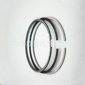 Segments de piston en fonte de haute qualité pour moteurs diesel, modèles de voitures et de camions, approvisionnement en 13011-64212 13011-64190 SDT10155ZZ 2C - Product Image 3