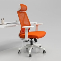 Chaise de bureau en maille avec dossier réglable et fonction ergonomique multifonctionnelle