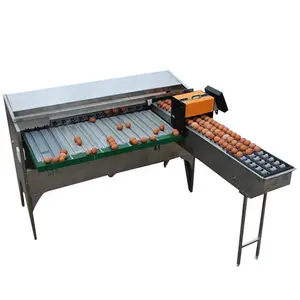 automatic-weight egg classifier egg grades sorting machine egg selecting machine by weight