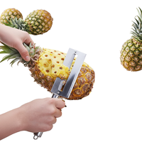 Multifunctionele roestvrijstalen handmatige ananas-gereedschap, draagbare fruit-schilmes voor thuisgebruik, suikerriet-schiller, ananas-schepvork