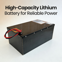 BMS Terintegrasi untuk Keamanan, Dapat Disesuaikan untuk Baterai LiFePO4 72V 30Ah (EV 2/3 Roda)