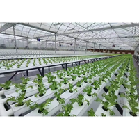 Système hydroponique NFT Seedafarm à croissance rapide et haut rendement, haute rigidité, cycle de récolte court, économie d'engrais et d'eau, 3 mois
