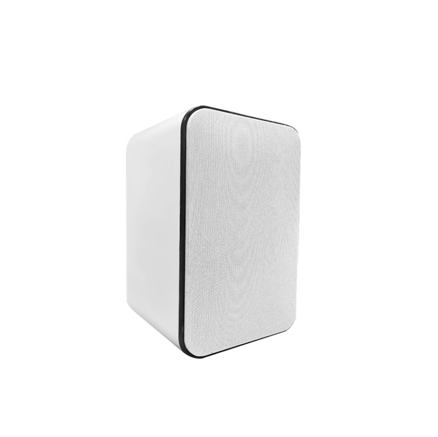 5.5" Full Range 1" Treble ABS Two-way 10-30W Wall Mounted Portable RGB LED Speaker for Outdoor/Indoor Patio Deck Yard Home
