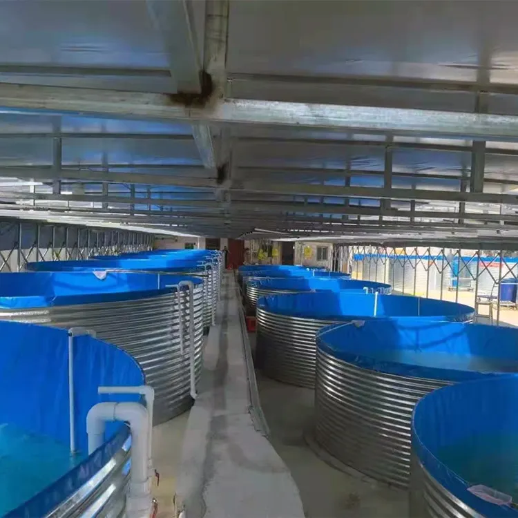 Ras Shrimp Farming Aquaculture Ras Systems Recirculating Aquaculture System Design Ras