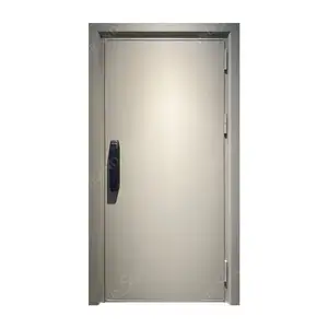 저렴한 가격 맞춤형 304 스테인레스 스틸 보안 전면 입구 문 현대 시각적 엿봄 외부 보안 입구 문