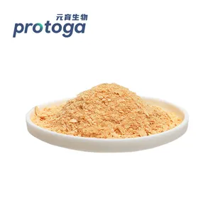 Protoga Good Price 1kg Or 5kg Bulk Natural DHA Oil Source Schizochytrium Powder