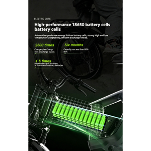 Bicicletta Elettrica da Montagna Fuoristrada per Adulti, Motore da 1000W, Batteria 48V 14.5AH, E-bike Pieghevole, Pneumatici Fat da 20 Pollici - Product Image 6