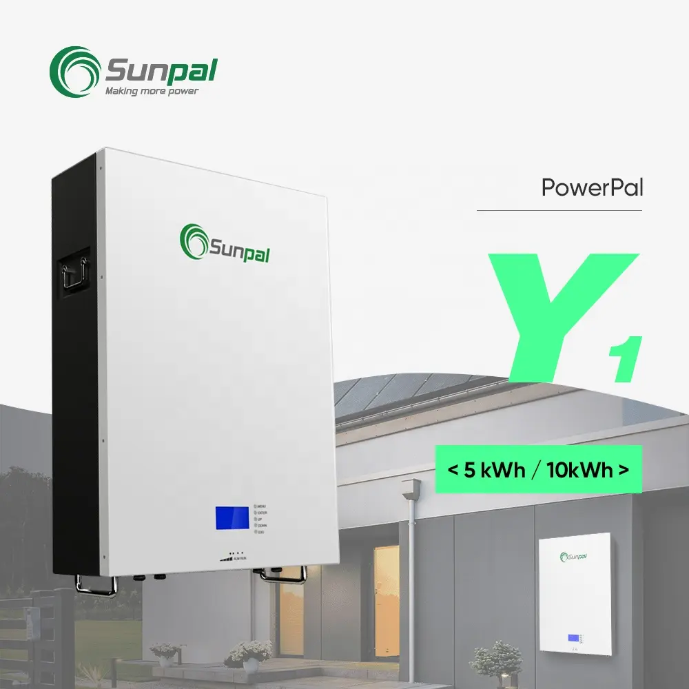 48V Low Voltage Dc Lithium-Ion Battery 100Ah 200Ah Solar Energy Storage Powerwall Lithium Batteries 5Kwh 10Kwh
