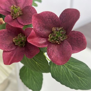 5 Têtes de <span class=keywords><strong>Tournesol</strong></span> Artificiel en Soie Populaire <span class=keywords><strong>Blanc</strong></span> pour Décoration de Mariage et de Salon DIY - Product Image 3