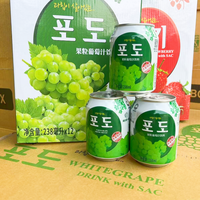 Aziatische Snacks Lage Prijs Groothandel Fruitpulp Sapdrank Groene Druivensmaak 238ml