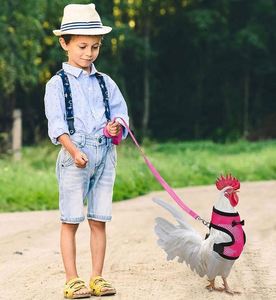 Échantillon Gratuit : Harnais d'Entraînement Respirant en Maille Aérée Réglable pour Poules, Poulets, Canards, Oies et Coqs de Petite Taille avec Laisse - Product Image 5