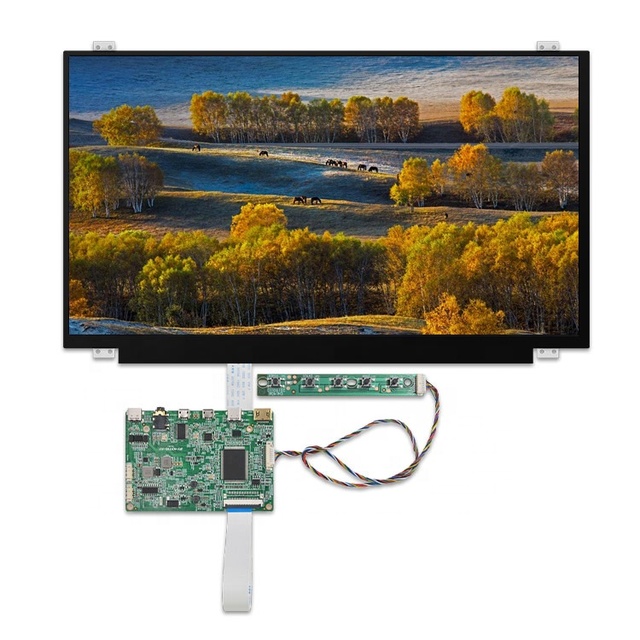 30 Pin Edp Slim 15.6 Inch 1920x1080 Tft IPS Lcd Display Laptop Capacitive Touch Advertising Screen USB and Type C