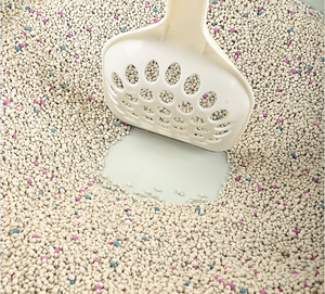 World Best Cat Litière Bentonite Argile Sable Désodorisant Forte Agglutination Sans Poussière Meilleure Litière Pour Chat - Product Image 3