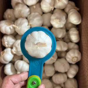 <span class=keywords><strong>Ail</strong></span> frais, petit emballage, 2/3/4/10 pièces par sac en filet/500g/1kg par sac en filet, qualité <span class=keywords><strong>A</strong></span>, sac en filet ventilé pour la vente au détail en supermarché - Product Image 5