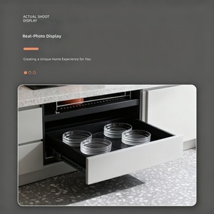 Venta Directa de Fábrica: Guías Telescópicas OEM de 45mm con Rodamientos de Bolas y Apertura por Empuje <span class=keywords><strong>para</strong></span> <span class=keywords><strong>Cajones</strong></span> de Muebles y Armarios - Product Image 6