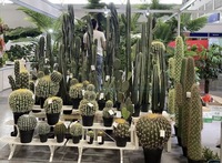Fabricants en gros de grandes plantes vertes décoratives pour le sol, plantes en pot pour fenêtre, cactus du désert en PU