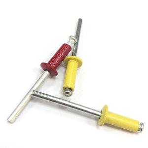 Remaches Ciegos con Cabeza Personalizada, Diseños de Remaches a Medida para una Estética Única o Necesidades Funcionales - Product Image 5