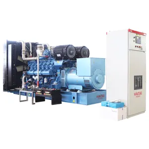 Biogas anlage 800 kw 1000kva biogas elektrische generator angetrieben durch Baudouin motor 12M33