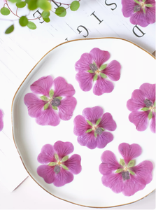 Arbuste <span class=keywords><strong>Althea</strong></span> pétale bricolage bougie savon faisant plante naturelle écologique <span class=keywords><strong>fleur</strong></span> pressée séchée - Product Image 3