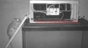 Humane Indoor Glass Live Catch <strong>Electronic</strong> <strong>Rat</strong> Automatic Capture Box Mouse <strong>Trap</strong> - Product Image 4