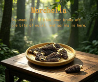 Morilles fraîches cultivées entières noires 5-8cm - Morchella crue de qualité supérieure pour la cuisine gastronomique - Vente en gros en vrac Marque Goodex