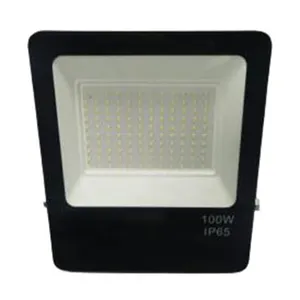 工厂供应商低价高品质超亮户外IP65 100w led泛光灯