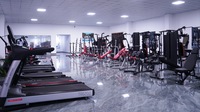 Station multifonction murale en gros d'usine Gym à domicile Musculation Équipement de fitness Barre de traction parallèle