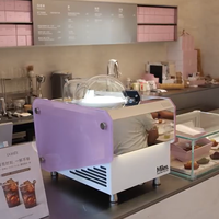Machine à gelato Miles Galaxy V1 Milano pour comptoir - Saveur unique, compatible fruits/eau/noix, en acier inoxydable, certifiée Energy Star