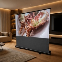 Nouveauté : Écran de projection 80 pouces 16:9 Cinema ALR en tissu PVC SHENGMU SL-01 3D 8K avec cadre en alliage d'aluminium et conception à tensionnement par languettes