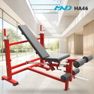 Banco de Ejercicios Profesional para Gimnasio, Modelo MND HA46, Máquina de Entrenamiento Muscular para Centros de Fitness de Cruceros, Resistente y de Alta Calidad - Product Image 1
