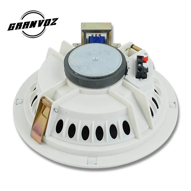 10W ABS Case Metal Grille OD195mm Mounting Hole With 100V Transformer Or 8ohm White Black Ceiling Speaker Set System
