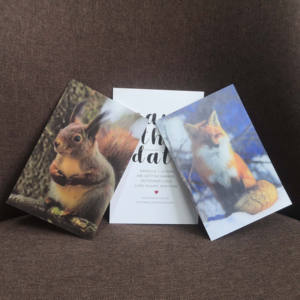 Carte postale 3D lenticulaire personnalisée, fabriquée dans une usine certifiée BSCI, faible MOQ, personnalisation, carte stéréoscopique à effet de changement de vue pour la promotion et les souvenirs - Product Image 5