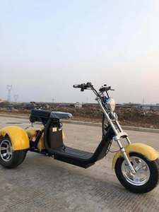 Tricycle électrique <span class=keywords><strong>2</strong></span> <span class=keywords><strong>places</strong></span> haute performance 2025 pour adultes, scooter électrique à <span class=keywords><strong>3</strong></span> <span class=keywords><strong>roues</strong></span>, <span class=keywords><strong>moto</strong></span>-tricycle électrique pour passagers - Product Image 4