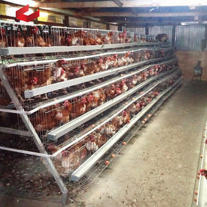 Commercio di Garanzia Della Moderna Coops Gallina di Pollo Casa - Product Image 2