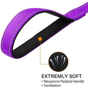 उच्च चिंतनशील नायलॉन वेबबिंग पालतू कुत्ते कॉलर पट्टा सेट कस्टम समायोज्य स्टाइलिश ओएम डिजाइन लक्जरी शैली मुक्त नमूना कम मौक - Product Image 3