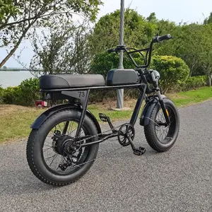 YADEA YT300 20 ''電動シティバイク250wミッドモータードライブPedelec Urban Ebike 36V 7.8Ah7スピード電動自転車大人用女性用