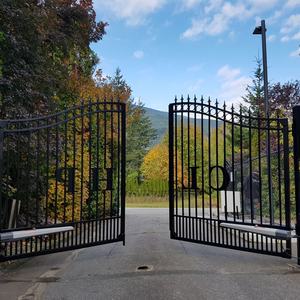 Новейший дизайн, современные кованые ворота ручной работы для элитных вилл, автоматические, выдвижные, прочные, экологичные, для двора - Product Image 3