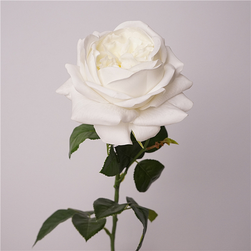Toque hidratante juliet rosa-blanco