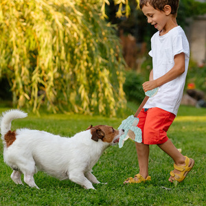 Juguetes para Perros al por Mayor con Logotipo Personalizado, Juguetes Duraderos de Lujo para Mascotas, Juguetes de Peluche con Cuello Elástico en Forma de Pato, Juguetes Interactivos para Masticar para Perros - Product Image 4